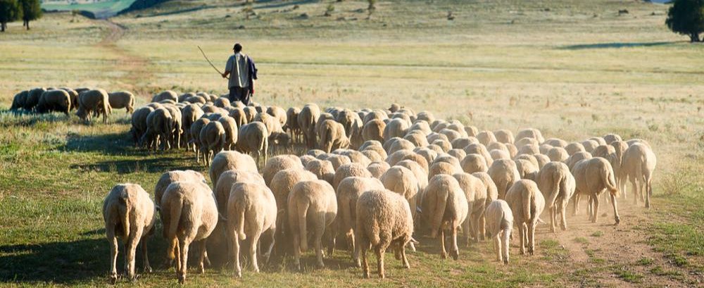 Do You Know My Father?